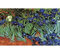 Collection d' Art Stampato Tela "Iris, (van Gogh)"