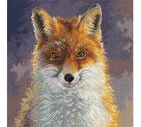 Collection d'Art PA1878 Foxy - Stampa Aida per ricamo a punto croce, in cotone, multicolore, 34 x 34 cm