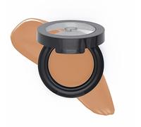 Collection Professional Correttore In Crema Alta Coprenza, corregge discromie da lievi a intense, macchie o cicatrici scure Tonalità N.08 Light Orange, Arancione 3 ml