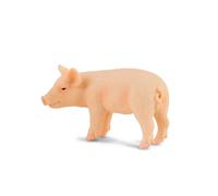 CollectUna figura di maialino replica animale realistica da collezione piccola d