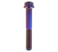 collegamento del giunto completamente filettati, flange in titanio 10 pz. viti M8x15 20 25 30 35 40 45 50 55 60 65 80mm T40 passo 1,25mm for auto moto(Burn Blue,60mm)