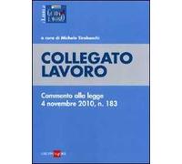 Collegato lavoro