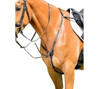 Collegiate Pelle Pettorale con Martingala da Corsa (WB2356)