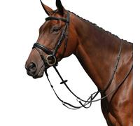 CollegiateSyntovia+ Semplice Martingala da Corsa per Cavallo (WB1427)