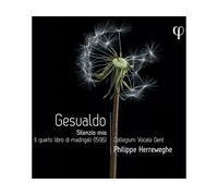 - Collegium Vocale Gent, Philippe Herreweghe - Silenzio Mio. Il Quarto Libro Di Madrigali (CD) - CD