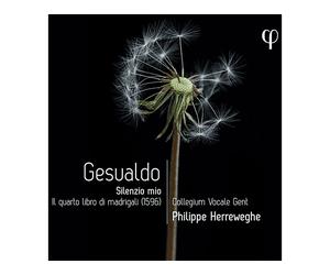 - Collegium Vocale Gent, Philippe Herreweghe - Silenzio Mio. Il Quarto Libro Di Madrigali (CD) - CD