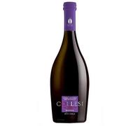 Collesi Birra Triplo Malto