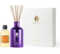 Collesi Kit di diffusore profumo ambiente per la casa con bastoncini - Include 300 ml di Oli essenziali Fragranza Ambre + Vetro Metallizzato 500 ml Viola - Effetto specchio - Made in Italy