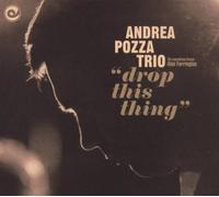 Collette Buddy - The Polyhedric