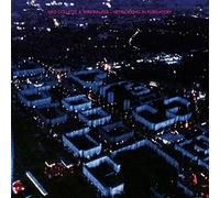 Ned Collette & Wirewalker Networking in Purgatory (Vinyl LP) 12" Album
