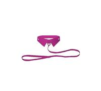 Colletto classico elegante con guinzaglio OUCH Deluxe Classic Collar with Leash
