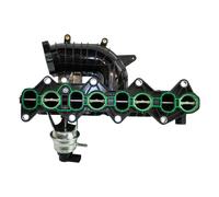 Collettore Aspirazione Per Chevrolet Cruze, Captiva, Orlando (2011-on)