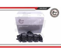 Collettore di aspirazione 49SKV007 ESEN SKV per AUDI VW SKODA SEAT