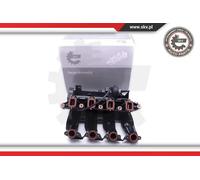 ESEN SKV Modulo collettore di aspirazione 49SKV017 per BMW 5/1/3/X3