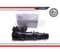 Collettore di aspirazione 49SKV019 ESEN SKV per BMW 7 3 3 Touring 5 5 Touring X5