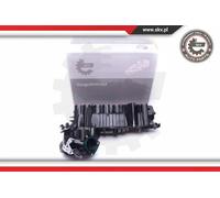 Collettore di aspirazione 49SKV020 ESEN SKV per BMW 1 Cabriolet 3 Touring 3 X1 1