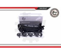 Collettore di aspirazione 49SKV037 ESEN SKV per BMW 3 Touring 3 3 Cabriolet X3 1