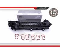 Collettore di aspirazione 49SKV039 ESEN SKV per BMW 7 5 Gran Turismo 4 Coupé X5