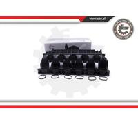 Collettore di aspirazione 49SKV064 ESEN SKV per BMW 3 Coupé Z4 Roadster 3 X6 7
