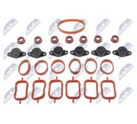 Collettore di aspirazione BKS-BM-012A NTY per BMW 3 Touring 5 X5 5 Touring 3 7