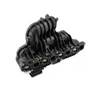 NTY Modulo collettore aspirazione compatibile con JEEP BKS-CH-005
