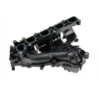 NTY Modulo collettore aspirazione compatibile con FORD BKS-FR-002