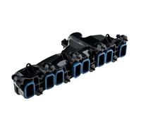 NTY Modulo collettore aspirazione BKS-FR-003 compatibile con Ford Transit 2.4DI/2.4TDE/2.4TDCI