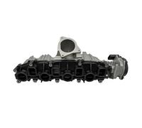 Bugiad BIM17010 Modulo Collettore Aspirazione per Audi A3 Skoda Octavia II VW