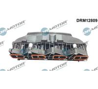 Collettore di aspirazione DRM12809 Dr.Motor Automotive per MERCEDES-BENZ