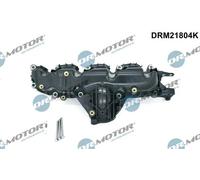 Collettore di aspirazione DRM21804K Dr.Motor Automotive per AUDI VW SKODA SEAT