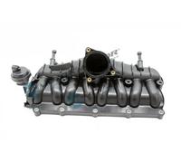 Collettore di aspirazione DRM21814 Dr.Motor Automotive per VW AUDI