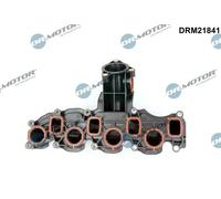 DR.MOTOR AUTOMOTIVE DRM21841 Collettore di aspirazione