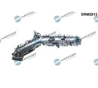 DR.MOTOR AUTOMOTIVE DRM2813 Collettore di aspirazione