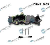 Dr.Motor Automotive DRM21806S Modulo collettore aspirazione per AUDI,VW