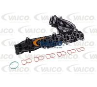 Collettore di aspirazione Plastica V20-3090 VAICO per BMW X5 X6 7 5 Touring 5 3
