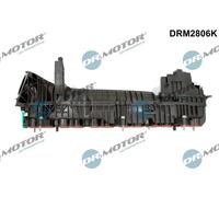 Collettore di aspirazione senza regolatore posizione DRM2806K per BMW 7 5 X5 X4