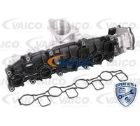 Vaico Modulo del tubo di aspirazione V10-5268 per Audi VW Seat Skoda