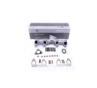 Collettore di scarico 49SKV048 ESEN SKV per AUDI VW