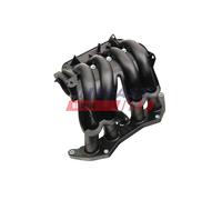 Collettore D'Ingiunzione Per Peugeot Partner Citroën Berlingo