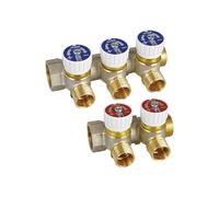COLLETTORE LINEARE MASCHIO/FEMMINA 1"" CON RUBINETTI MOD.227 ICMA 2 vie da 1/2""