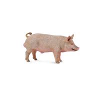 Colleziona una figura di maiale realistica con replica di animali media per bamb