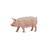 Colleziona una figura di maiale realistica con replica di animali media per bamb