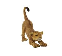 Leoncino che si stiracchia Collecta cod. 88416