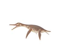 Colleziona una figura realistica di Dolichorhynchops con replica animale, dai 3