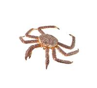 Colleziona una figura realistica di granchio reale con replica di animali extra