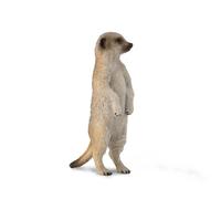 Colleziona una figura realistica di suricato replica di un animale piccola per b