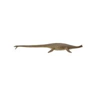 Colleziona una figura realistica di Thalassomedon Deluxe con replica animale, da