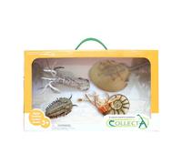CollezionaUn set regalo di creature marine preistoriche, confezione da 4 pezzi,