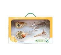 CollezionaUn set regalo di creature marine preistoriche, confezione da 4 pezzi,