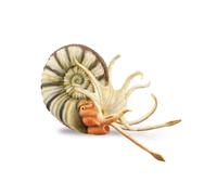 CollezionaUna replica animale realistica di Pleuroceras Ammonite figura extra la